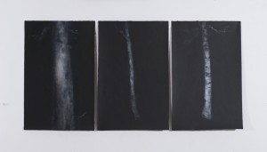 http://www.amyhuestis.com/files/gimgs/th-124_Huestis_Mr_ Courbet (tree studies i-iiii)_each 22 x 14 inches_oil on black paper_2015_v3.jpg